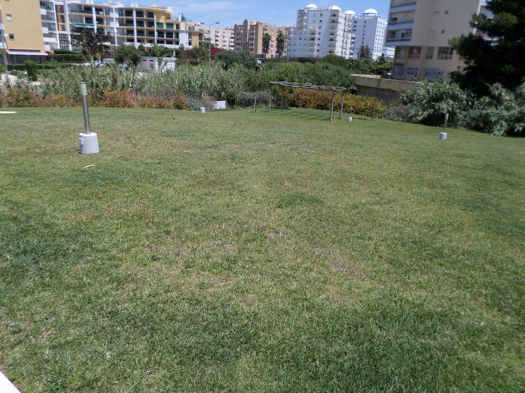Rocha Tower By Beach Rentals エクステリア 写真